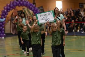 FSV Bentwisch Wildcats